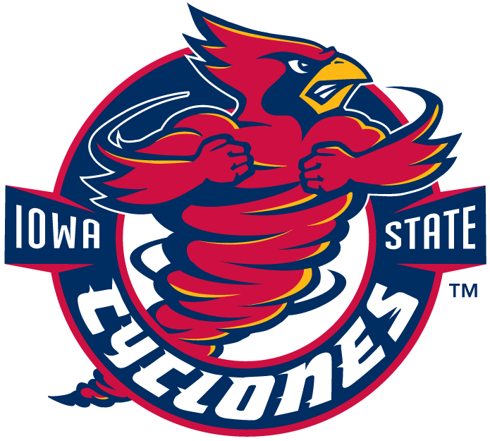 Iowa State Cyclones 1995-2007 Alternate Logo diy fabric transfer